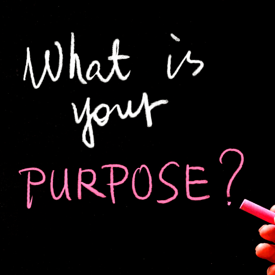 Purpose in Life