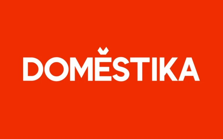 Domestika courses